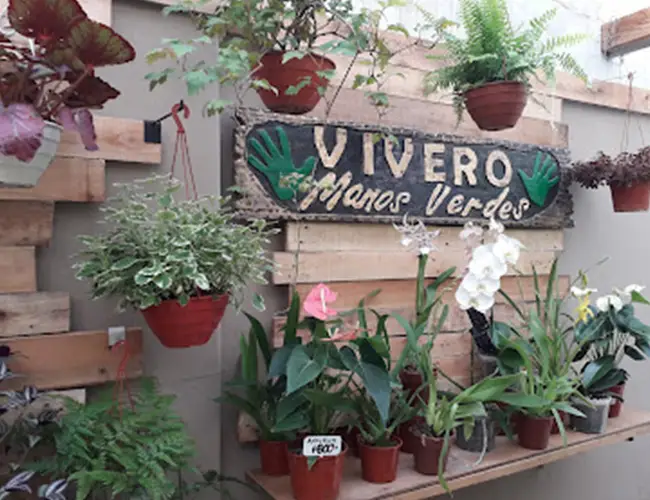 MANOS VERDES VIVERO, Av. Eva Perón 3872, C1407 CABA