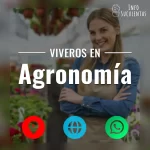 seleccion de viveros de suculentas en la zona de agronomía