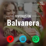 seleccion de viveros de suculentas en la zona de balvanera