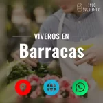 seleccion de viveros de suculentas en la zona de barracas