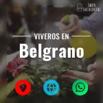 seleccion de viveros de suculentas en la zona de belgrano