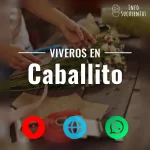 seleccion de viveros de suculentas en la zona de caballito