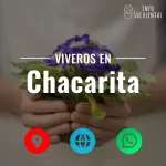 seleccion de viveros de suculentas en la zona de chacarita