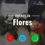 seleccion de viveros de suculentas en la zona de flores