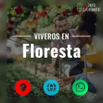 seleccion de viveros de suculentas en la zona de floresta