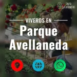 seleccion de viveros de suculentas en la zona de parque avellaneda