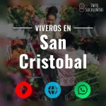 seleccion de viveros de suculentas en la zona de san cristobal