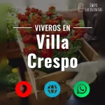 seleccion de viveros de suculentas en la zona de villa crespo