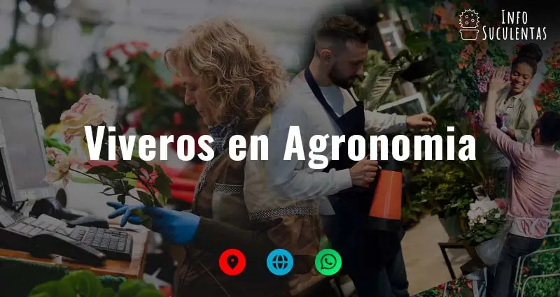 viveros en Agronomía que venden suculentas