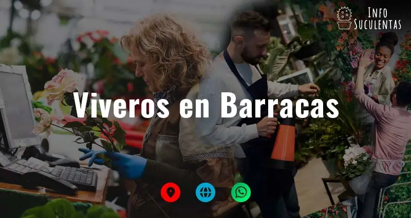 viveros en Barracas que venden suculentas