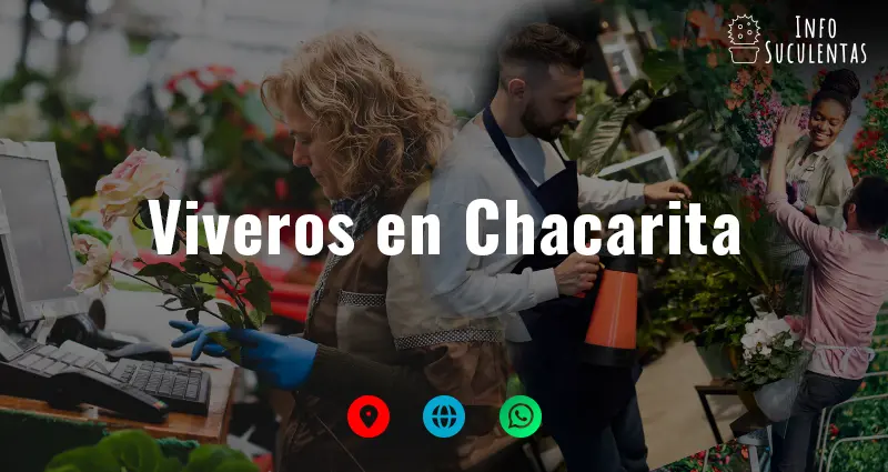 viveros en Chacarita que venden suculentas