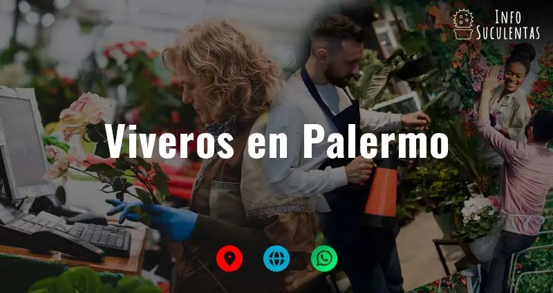 viveros en Palermo que venden suculentas