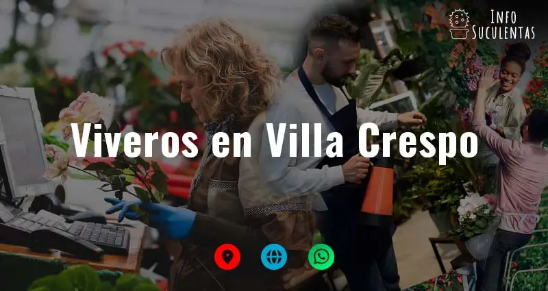 viveros en Villa Crespo que venden suculentas